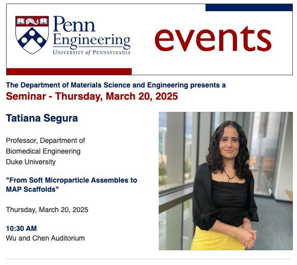 MSE Seminar – Tatiana Segura – Duke University